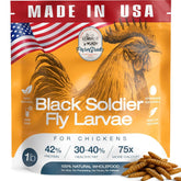 PureGrubs: bolsa de larvas negras secas, snack proteico para aves.