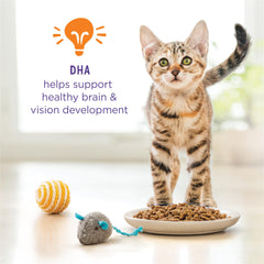 Purina Kitten Chow sin colorantes artificiales para gatitos.