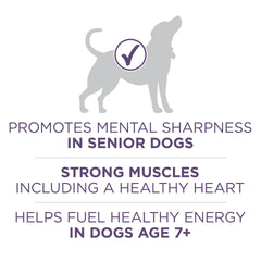 Purina ONE, glucosamina natural para articulaciones, favorece movilidad en perros senior.