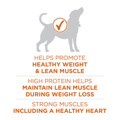 Purina ONE Plus Crujiente y Tierno: croquetas y trocitos para sabor agradable.