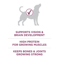 Purina ONE Plus Healthy Puppy, digestibilidad alta y digestión suave