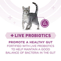 Purina ONE Plus probióticos vivos para digestión saludable.