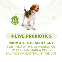 Purina ONE Plus con probióticos y vitamina E, digestión y defensa