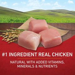 Purina ONE, primer ingrediente pollo, aporta proteína para músculos y vitalidad.