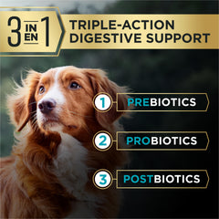 Purina Pro Plan AdvantEDGE Digestivo: antioxidantes para el apoyo inmunitario.