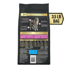 Perro mayor come en tazón con Purina Pro Plan AdvantEDGE Senior.