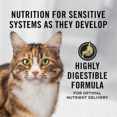 Purina Pro Plan en tazón para gato senior con salmón-arroz, presentación atractiva.