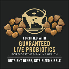 Purina Pro Plan para gatos mayores, probióticos vivos, apoyo digestivo.