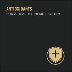 Purina Pro Plan pate sin granos con pollo y espinacas, textura suave para comer diario