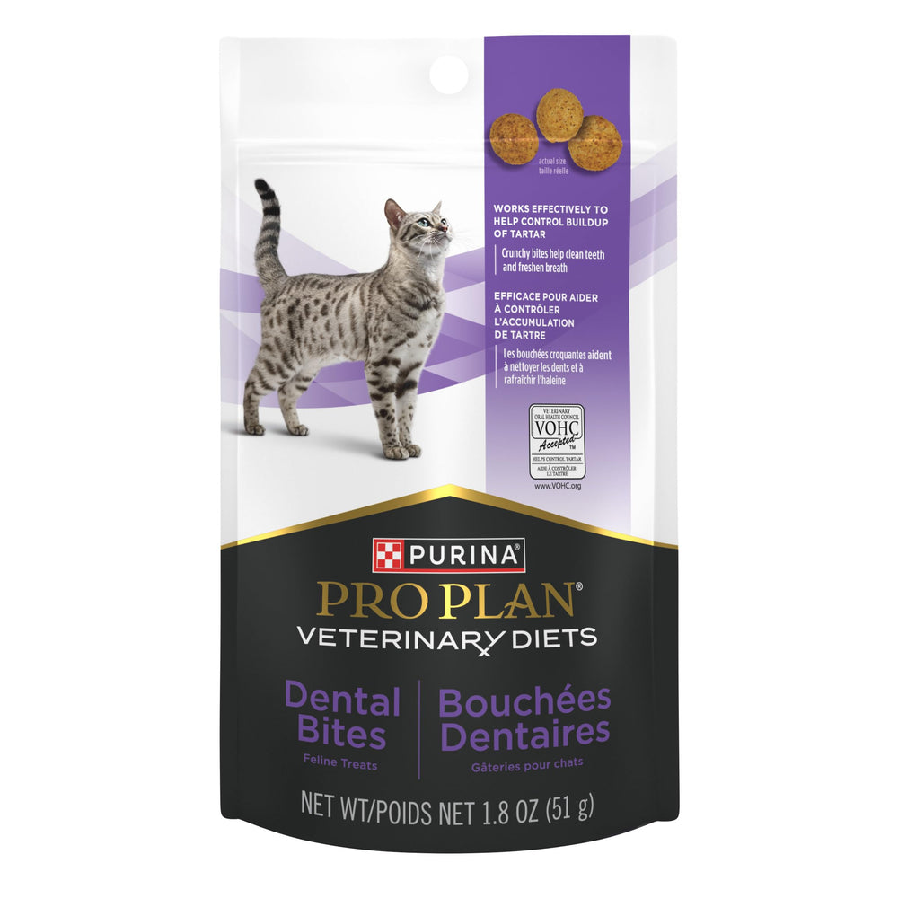 Purina Pro Plan Veterinary Diets Dental Bites: gato disfrutando bocado de pollo crujiente para higiene dental