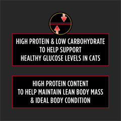 Purina Pro Plan Veterinary Diets DM para gatos, croquetas secas en envase, ideal para control de carbohidratos.