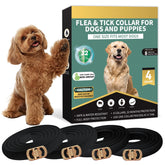 Collar Puyrzoe anti pulgas y garrapatas para perro negro, protección rápida.