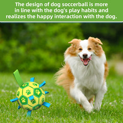 QDAN juguete acuático para perros, balón, ideal para juegos en agua y flotación.