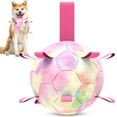 QDAN bola para perros 8 pulgadas con gradiente arcoiris, ideal para juego activo al aire libre