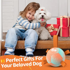 QDAN pelota arcoíris naranja para perros pequeños, diseño vibrante que mejora la visibilidad.
