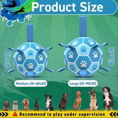 QDAN para agua: perfecta en playa o piscina para juegos.