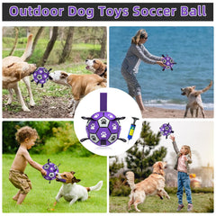 QDAN bola interactiva para perros, estimula la mente y la actividad