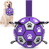 QDAN bola para perros grande de 8 pulgadas, ideal para juego activo al aire libre