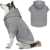 QDYU sudadera gris para perros, vista frontal; ideal para paseos diarios en frío.