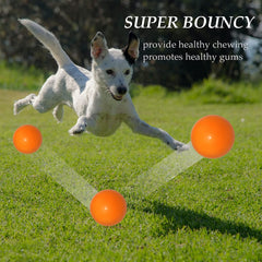 Qesonoo pelota-perro-flotante-agua, perfecta para juegos acuáticos y recuperación en piscina.