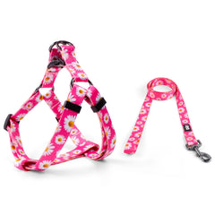 QQPETS arnés diseño patrón: aspecto distintivo para fácil localización.