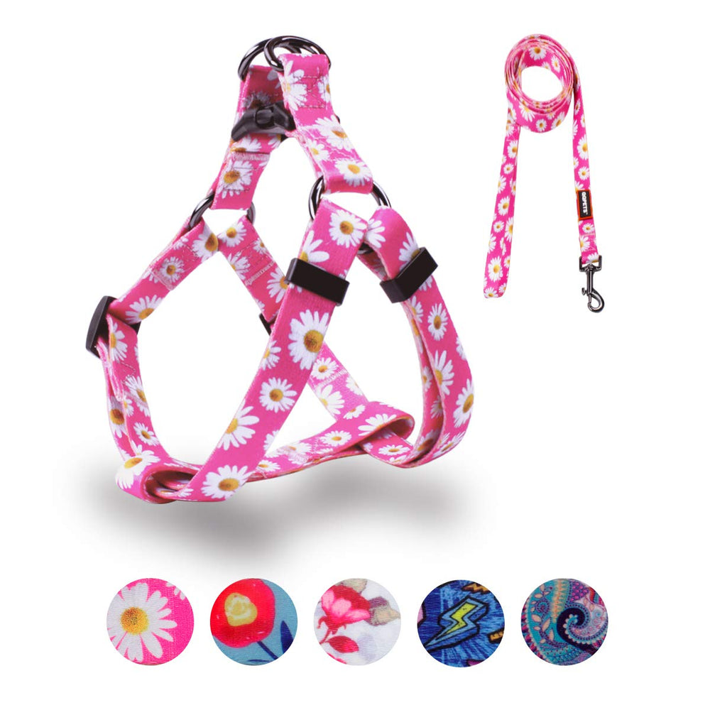 QQPETS harnais chien et laisse ensemble pour promenades confortables.