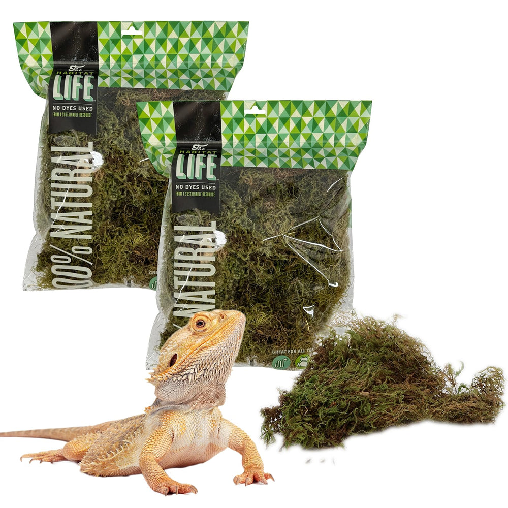 Quality Growers Habitat Life: musgo deco natural para terrarios, textura realista y control de humedad.