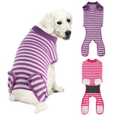 QUEARN camiseta de recuperación para perro, vista frontal, protege la zona delicada y facilita movilidad.