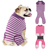 QUEARN traje recuperación perro, vista frontal de tela transpirable para mayor comodidad.