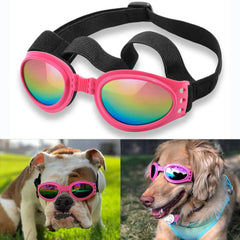 Gafas QUMY para perros protección contra viento durante paseos al aire libre