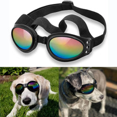 Gafas QUMY para perro con visor anti-vaho para paseos al aire libre