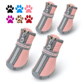 Zapatos QUMY para perros pequeños, vista frontal, protegen las patas durante paseos