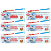 Pasta de ivermectina QZQAB en frasco para caballos con dosis única.