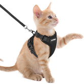 rabbitgoo arnés-gato-a-prueba-de-escape para paseos seguros al exterior.