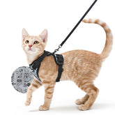 Arnés Rabbitgoo para gato ajustado con confort para paseos seguros