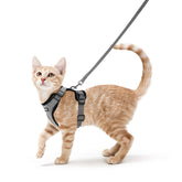 Arnés Rabbitgoo para gatos con ajuste-confort, ideal para paseos cómodos