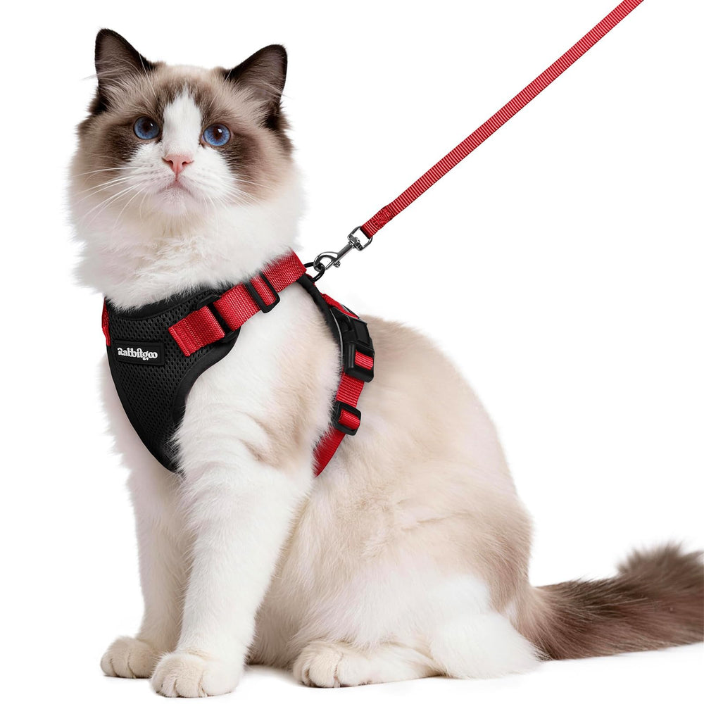 Arnés Rabbitgoo con ajuste ergonómico para comodidad del gato.