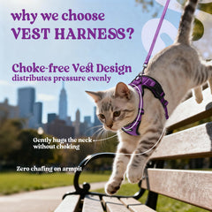 Arnés Rabbitgoo con anilla dorsal reforzada para control fiable.