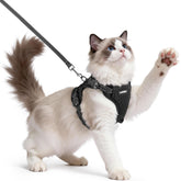 Arnés Rabbitgoo para gatos con hebillas de ajuste triple para un ajuste seguro.
