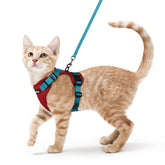 Arnés Rabbitgoo para gato con malla aire, cómodo en paseos.