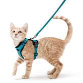 Arnés Rabbitgoo para gatos con malla transpirable en color azul verdoso, ajuste XS.