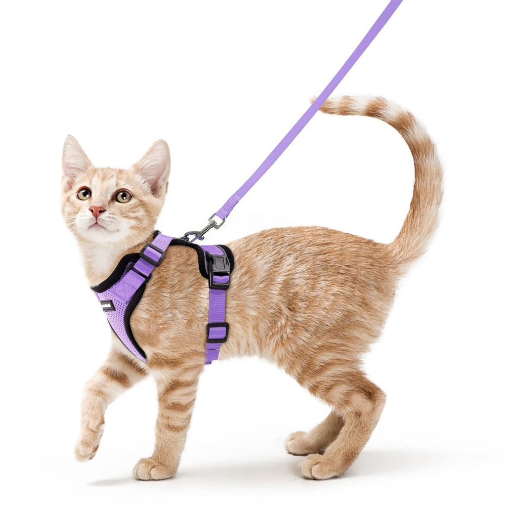 Arnés Rabbitgoo para gatos con malla suave, cómodo para paseos al aire libre.
