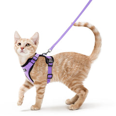 Arnés Rabbitgoo para gatos con malla suave, cómodo para paseos al aire libre.