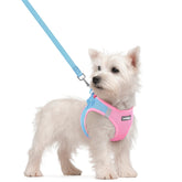 Arnés Rabbitgoo de malla transpirable para perros pequeños, cómodo para paseos largos.