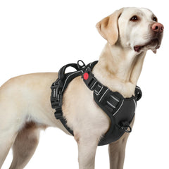 Arnés Rabbitgoo para perro con ajuste de cuatro correas, ideal para paseos cómodos.