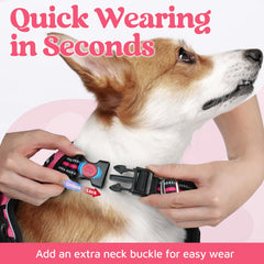 Arnés Rabbitgoo con mango de control ergonómico para perros activos