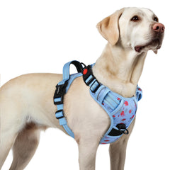 Arnés Rabbitgoo para perros grandes con 3 hebillas, ajuste seguro para paseos diarios.