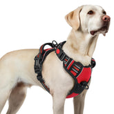 Arnés Rabbitgoo para perros grandes con ajuste total para un fit cómodo durante paseos