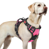 Arnés Rabbitgoo para perro grande con tres hebillas para ajuste seguro.