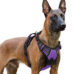 Rabbitgoo arnés para perro grande con tres hebillas, ajuste seguro para paseos diarios